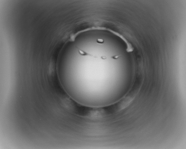 X0000114190274200910091238