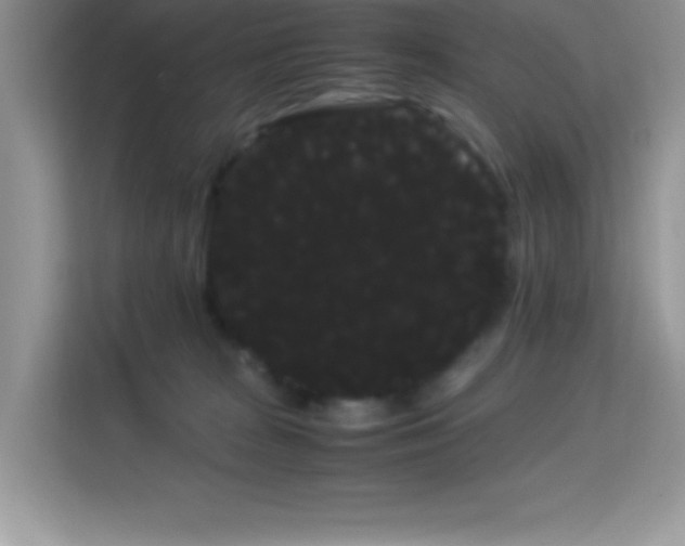 X0000114190277200910091238