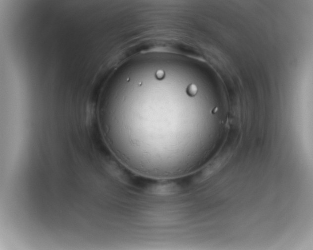 X0000114190278200910091238