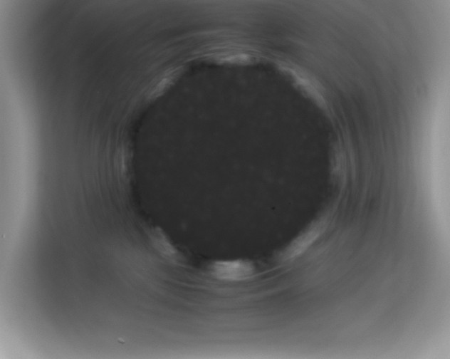 X0000114190281200910091238