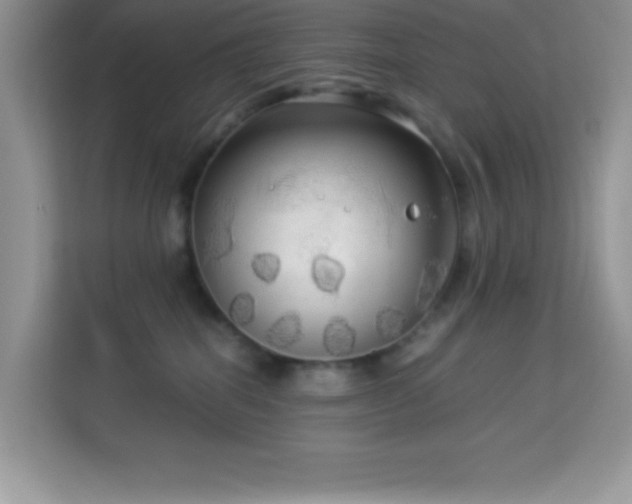 X0000114190282200910091238