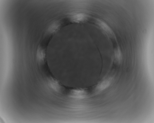 X0000114190284200910091238