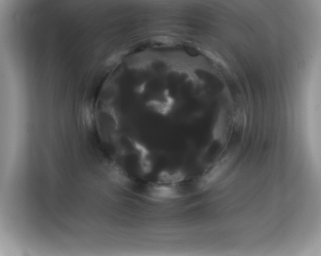 X0000114190285200910091238