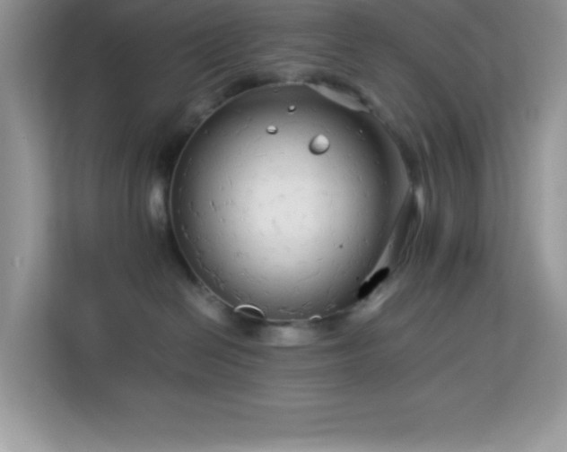 X0000114190286200910091238