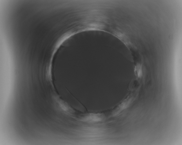 X0000114190292200910091238