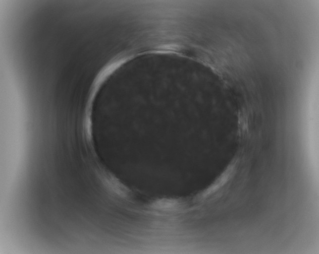 X0000114190294200910091238