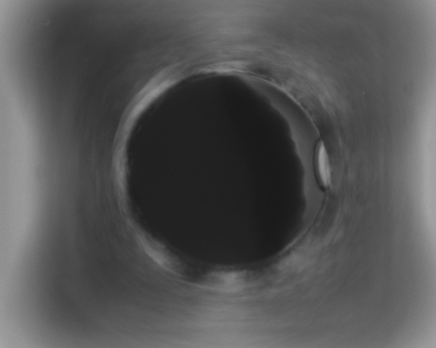 X0000114190295200910091238