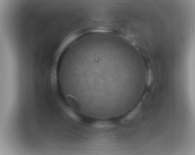X0000114190296200910091238