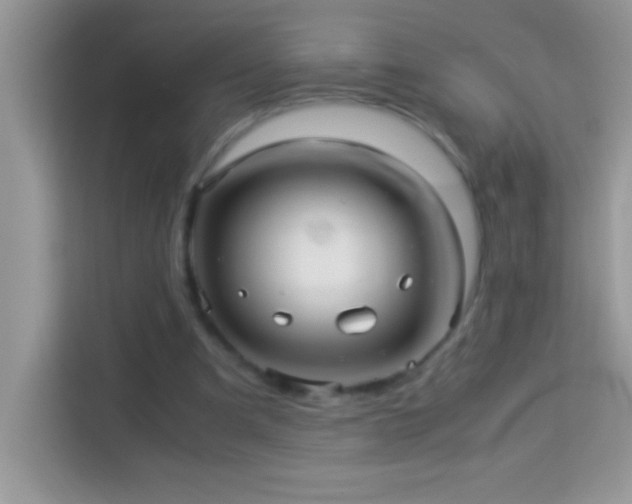 X0000114190297200910091238