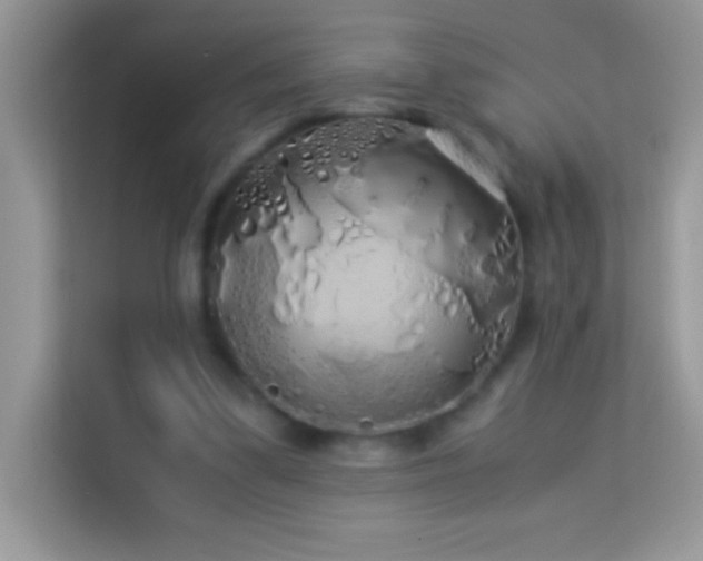X0000114190299200910091238