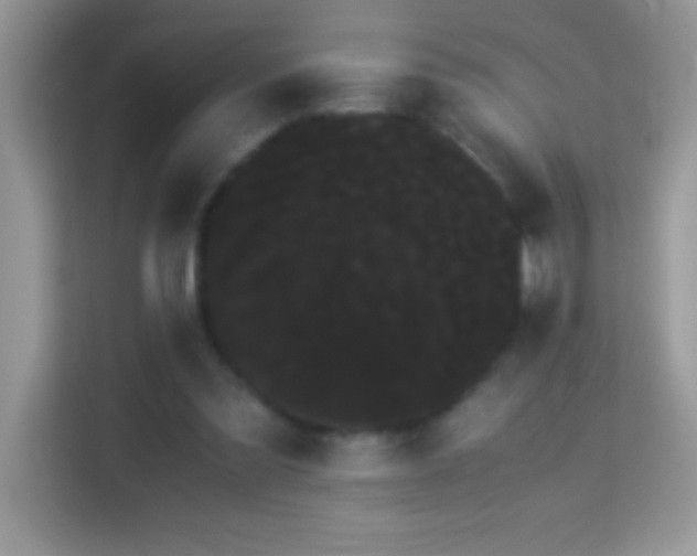 X0000114190301200910091238