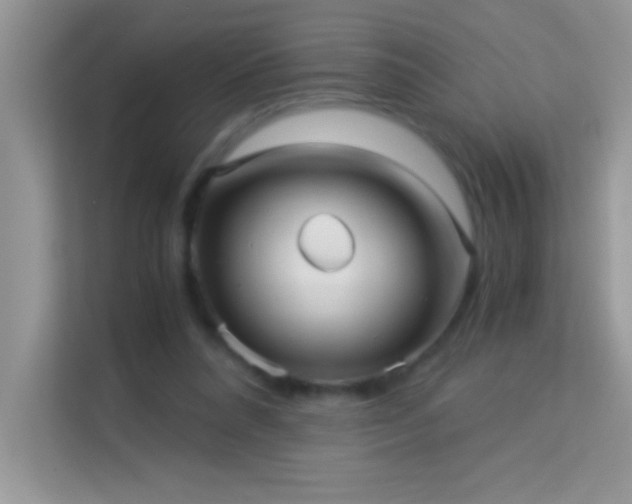X0000114190304200910091238