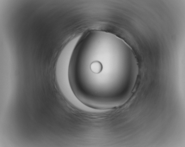 X0000114190305200910091238
