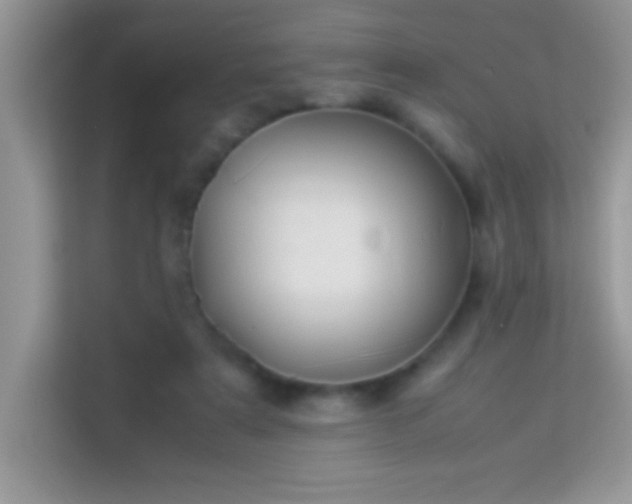 X0000114190307200910091238