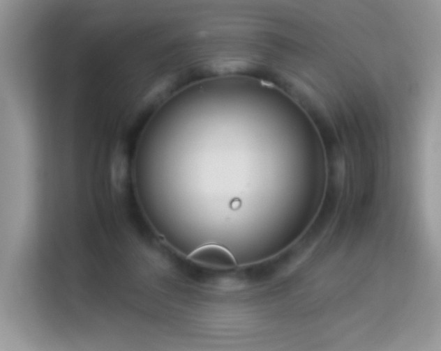X0000114190308200910091237