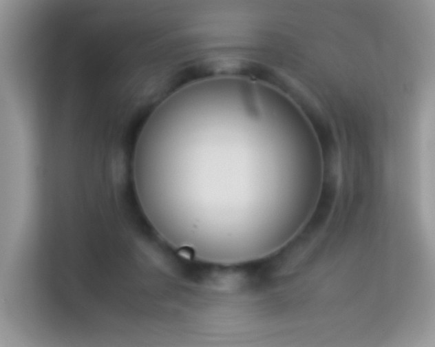 X0000114190311200910091237