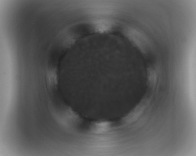 X0000114190313200910091237