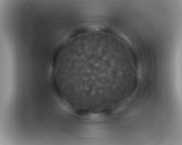 X0000114190314200910091237