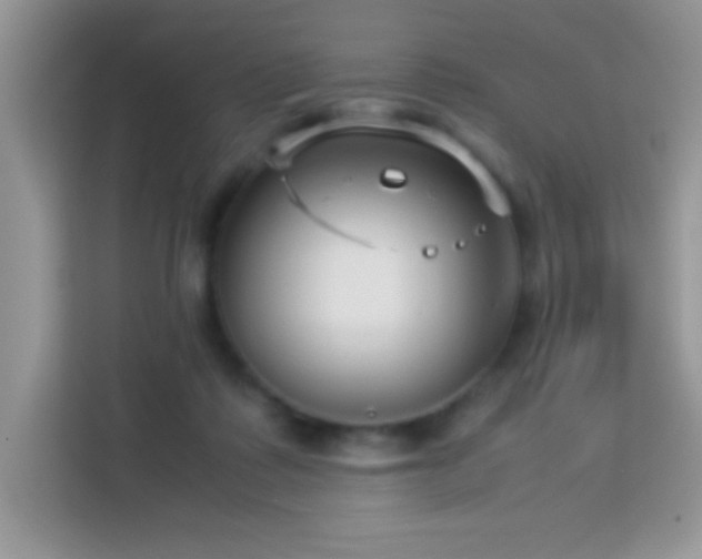 X0000114190315200910091237