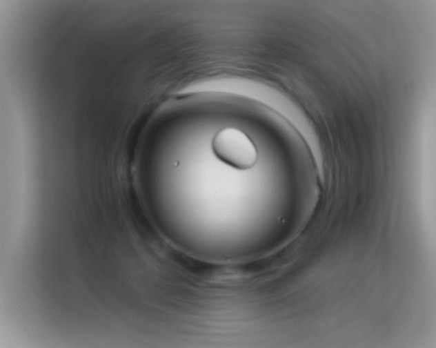 X0000114190316200910091237