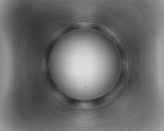 X0000114190317200910091237