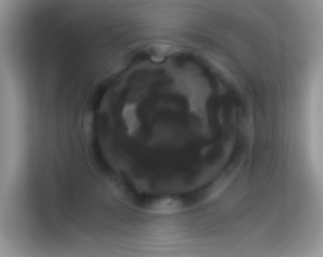 X0000114190319200910091237