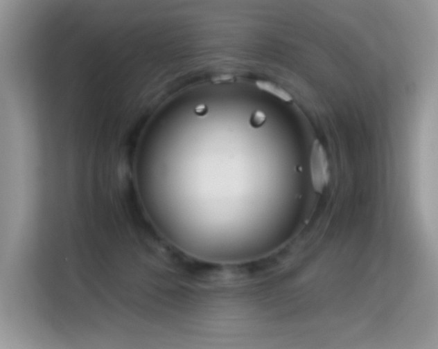 X0000114190320200910091237