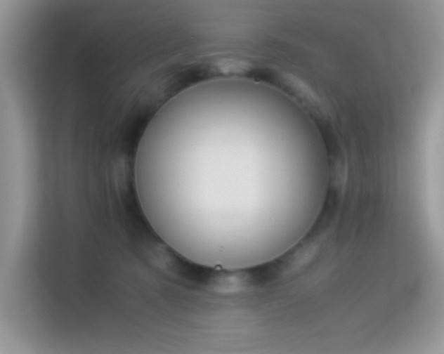 X0000114190321200910091237