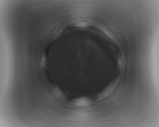 X0000114190322200910091237