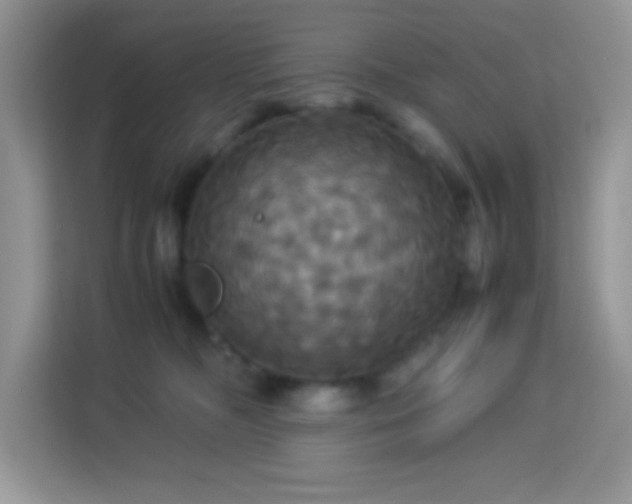 X0000114190326200910091237