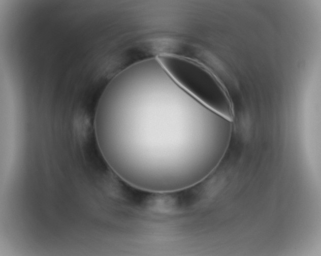 X0000114190327200910091237