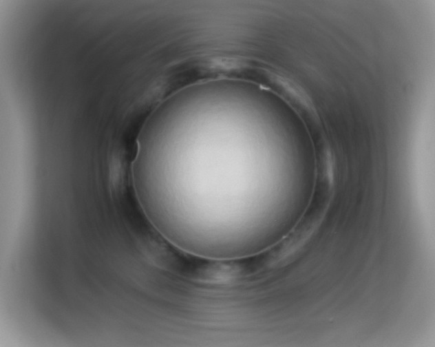 X0000114190328200910091237