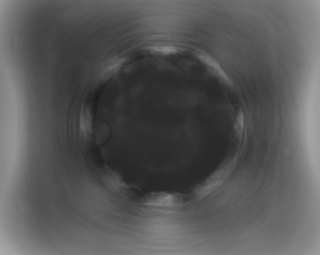 X0000114190330200910091237