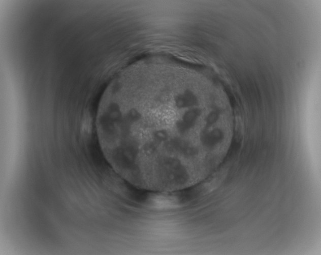 X0000114190331200910091237