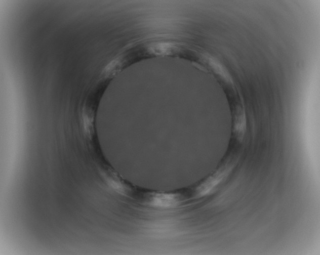 X0000114190332200910091237