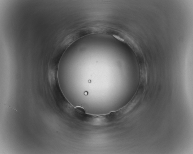 X0000114190333200910091237
