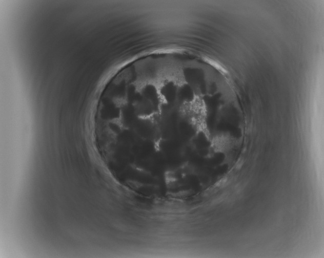 X0000114190337200910091237
