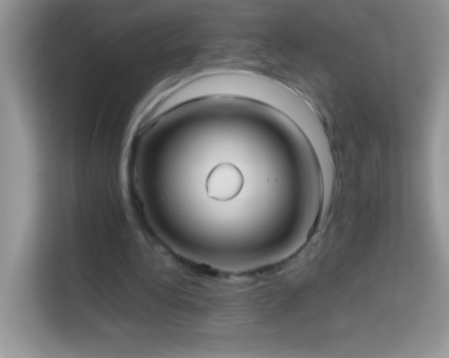 X0000114190340200910091237