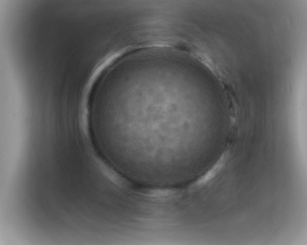 X0000114190342200910091237