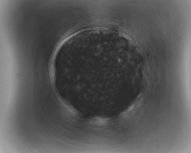X0000114190343200910091237
