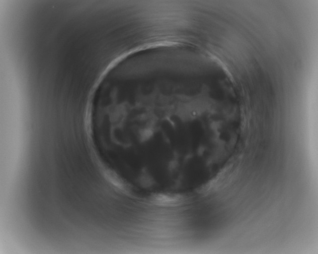 X0000114190346200910091237