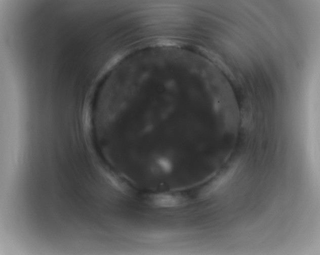 X0000114190347200910091237