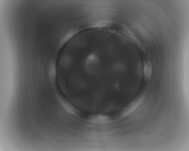 X0000114190348200910091237