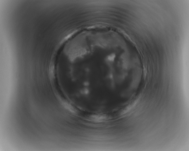 X0000114190351200910091237