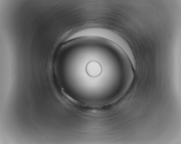 X0000114190352200910091237