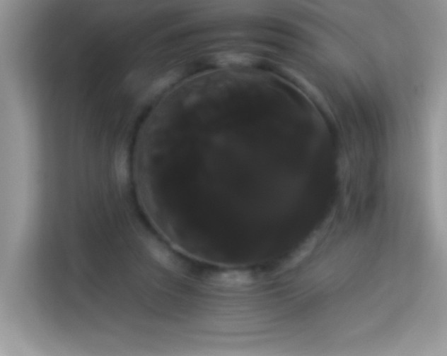 X0000114190353200910091237