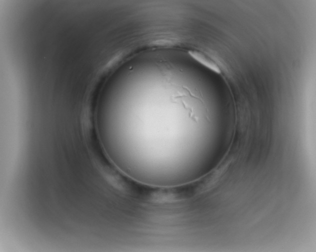 X0000114190354200910091237