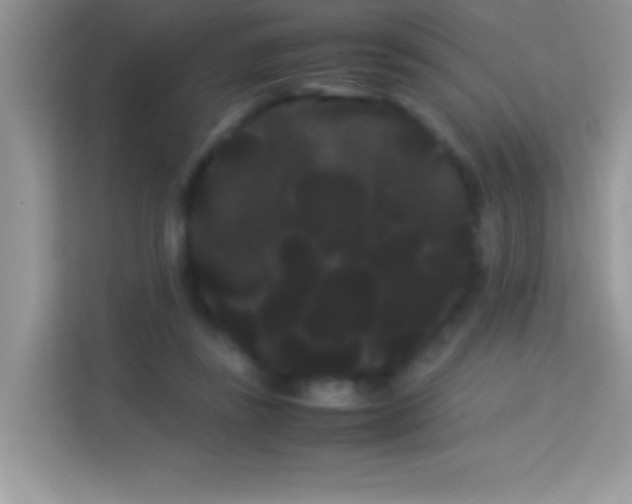 X0000114190355200910091237