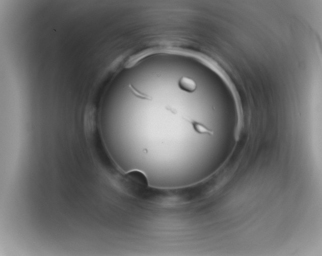 X0000114190356200910091237