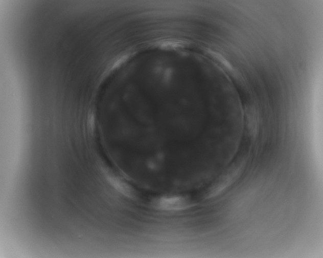 X0000114190357200910091237